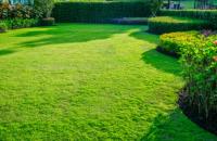 LAWN & ORDER GARDENING & TREE LOPPING SERVICES image 1